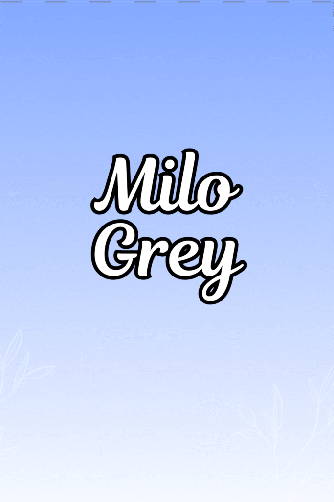 Modern & Trendy Middle Names for Milo