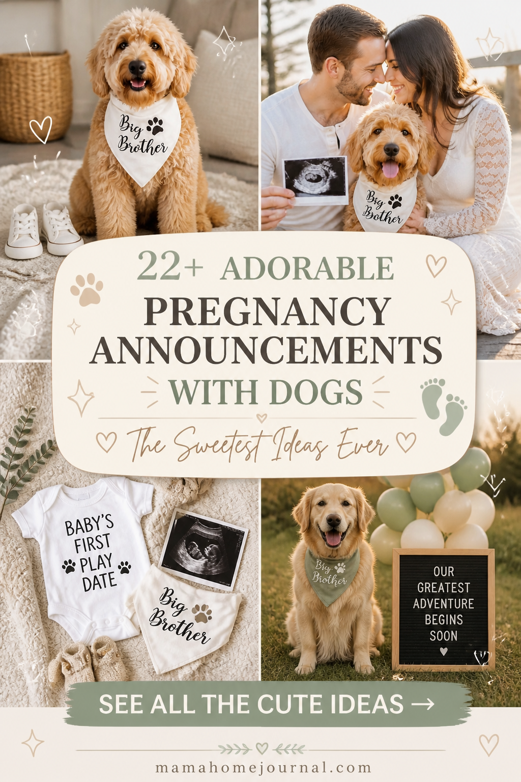 Pregnancy Announcements with Dogs