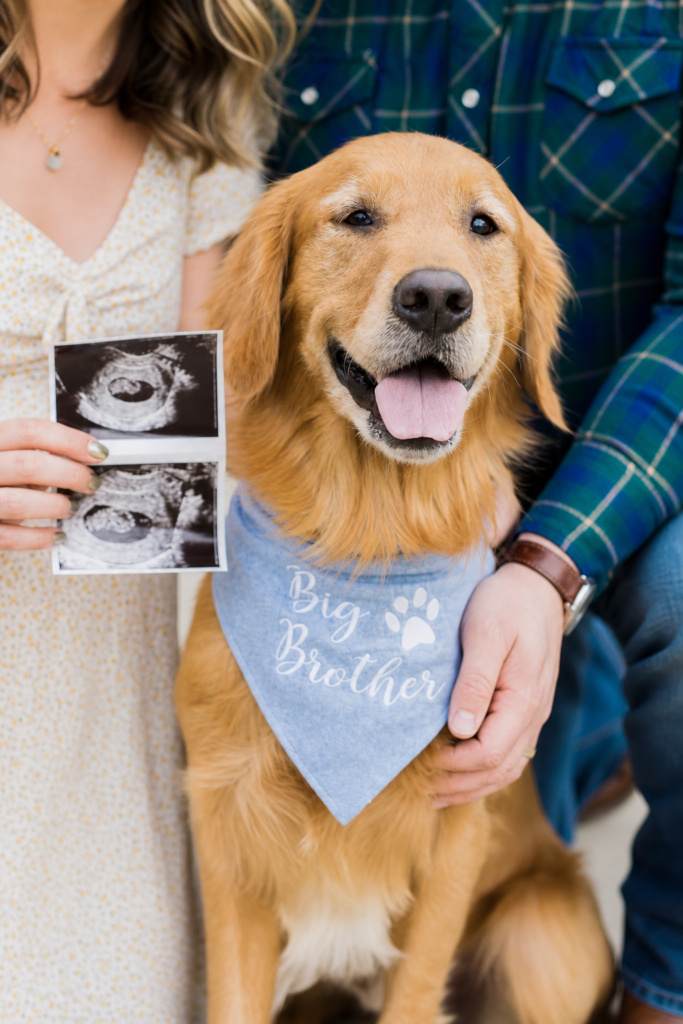 Big Brother Bandana Pregnancy Announcement