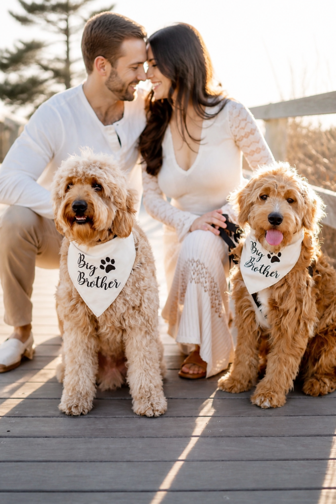Light & Airy Baby Announcement with Dogs