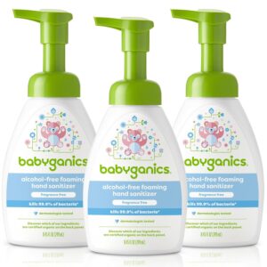 Babyganics Alcohol-Free Foaming Hand Sanitizer