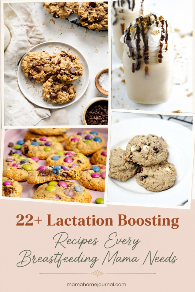 22+ Lactation Recipes for Your Breastfeeding Journey