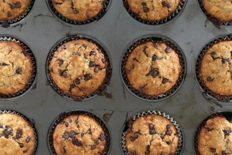 Super Easy Lactation Muffins