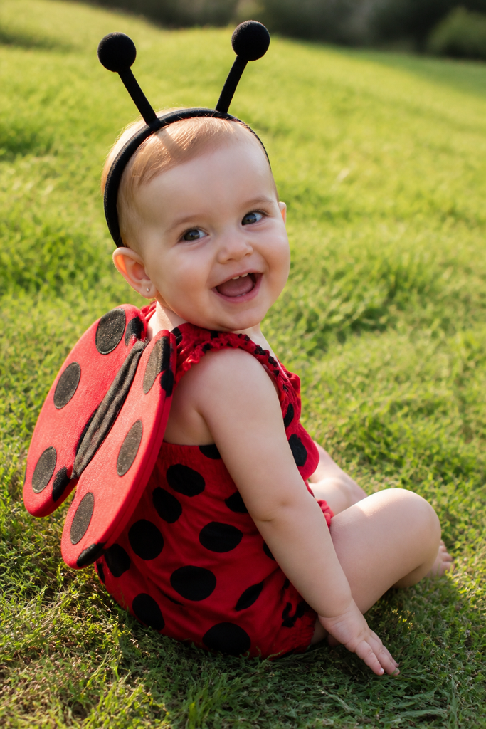 Baby Girl Ladybug Costume