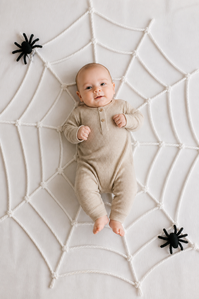 Spider Web Prop Photo