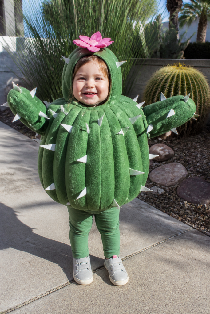 Toddler Girl Cactus Costume